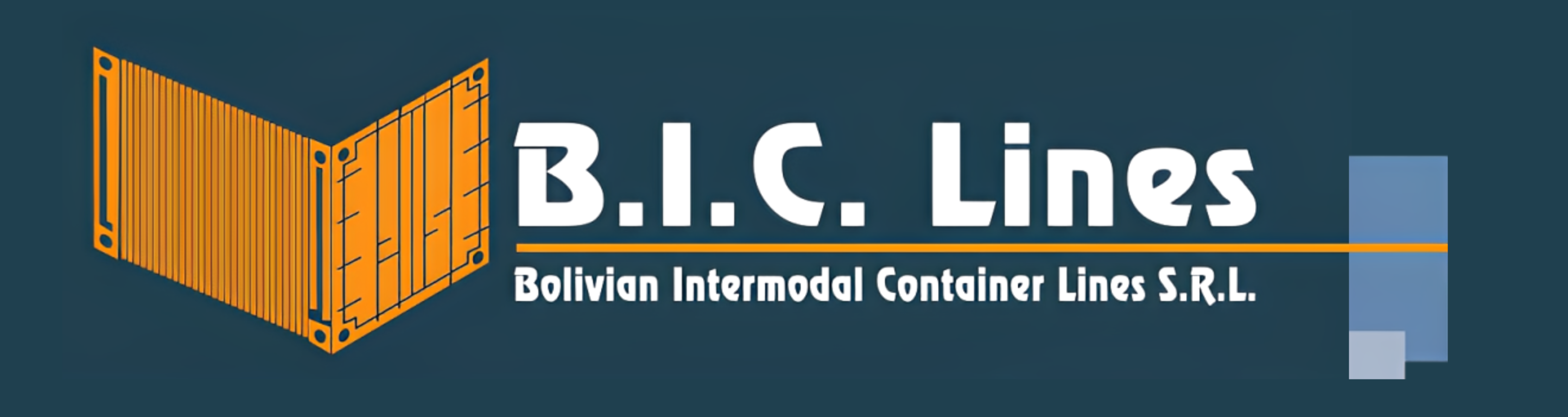 BIC LINES SRL